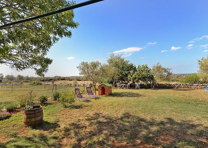 House Dama 1691 * 파자나